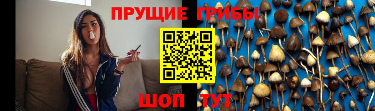 APVP Кулебаки